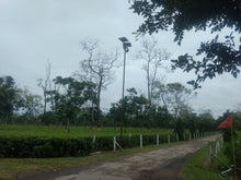 Solar Flood Light 50 Watt - TTSFL50W - tapetum.in