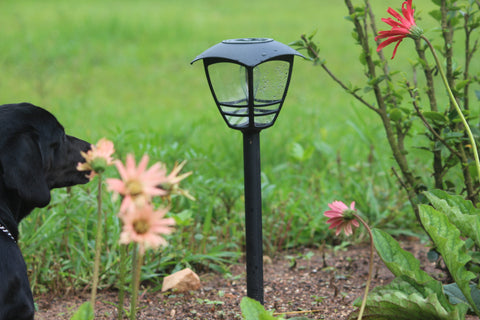 solar edison garden light