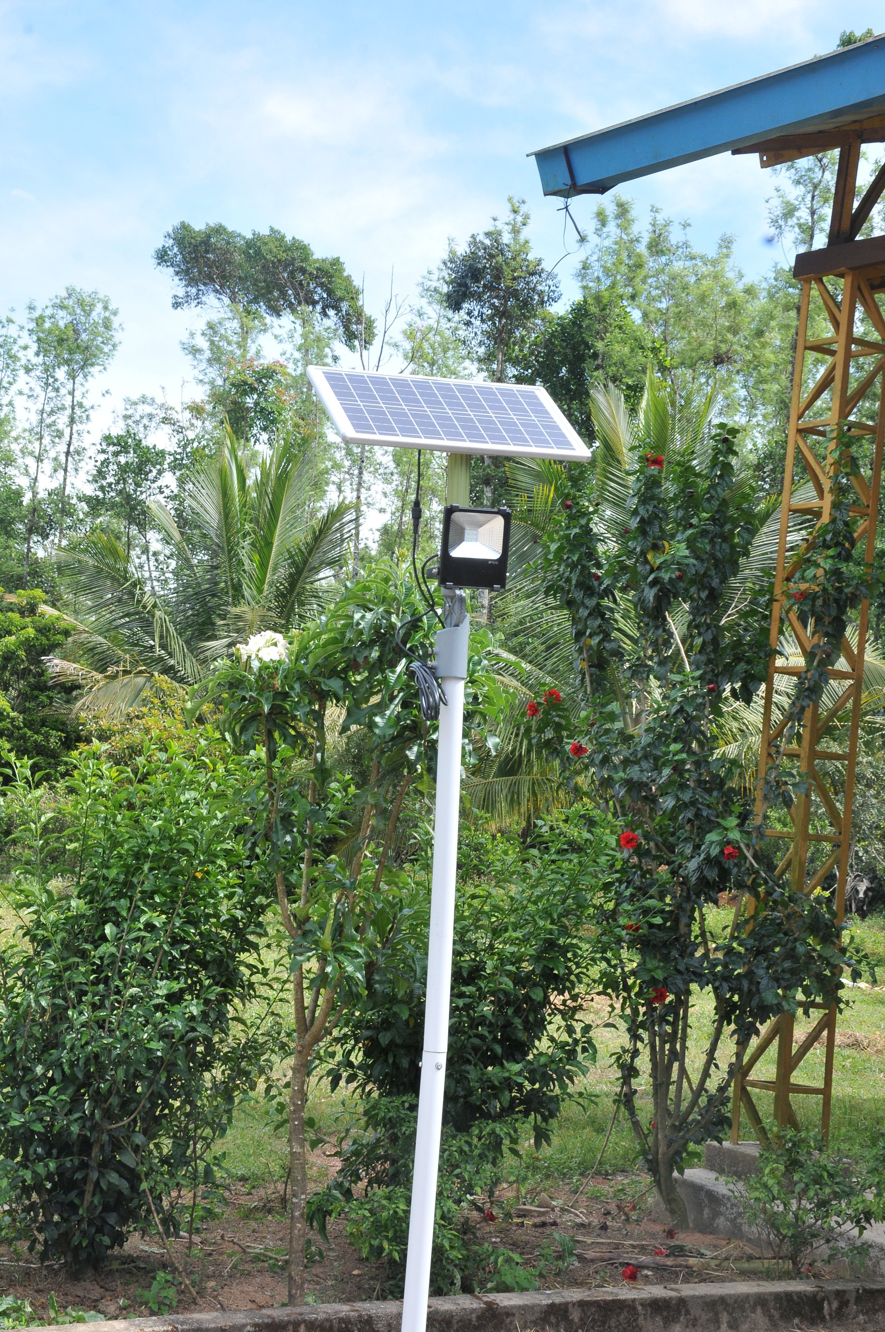 Solar Flood Light 20 Watt - TTSFL20W - tapetum.in