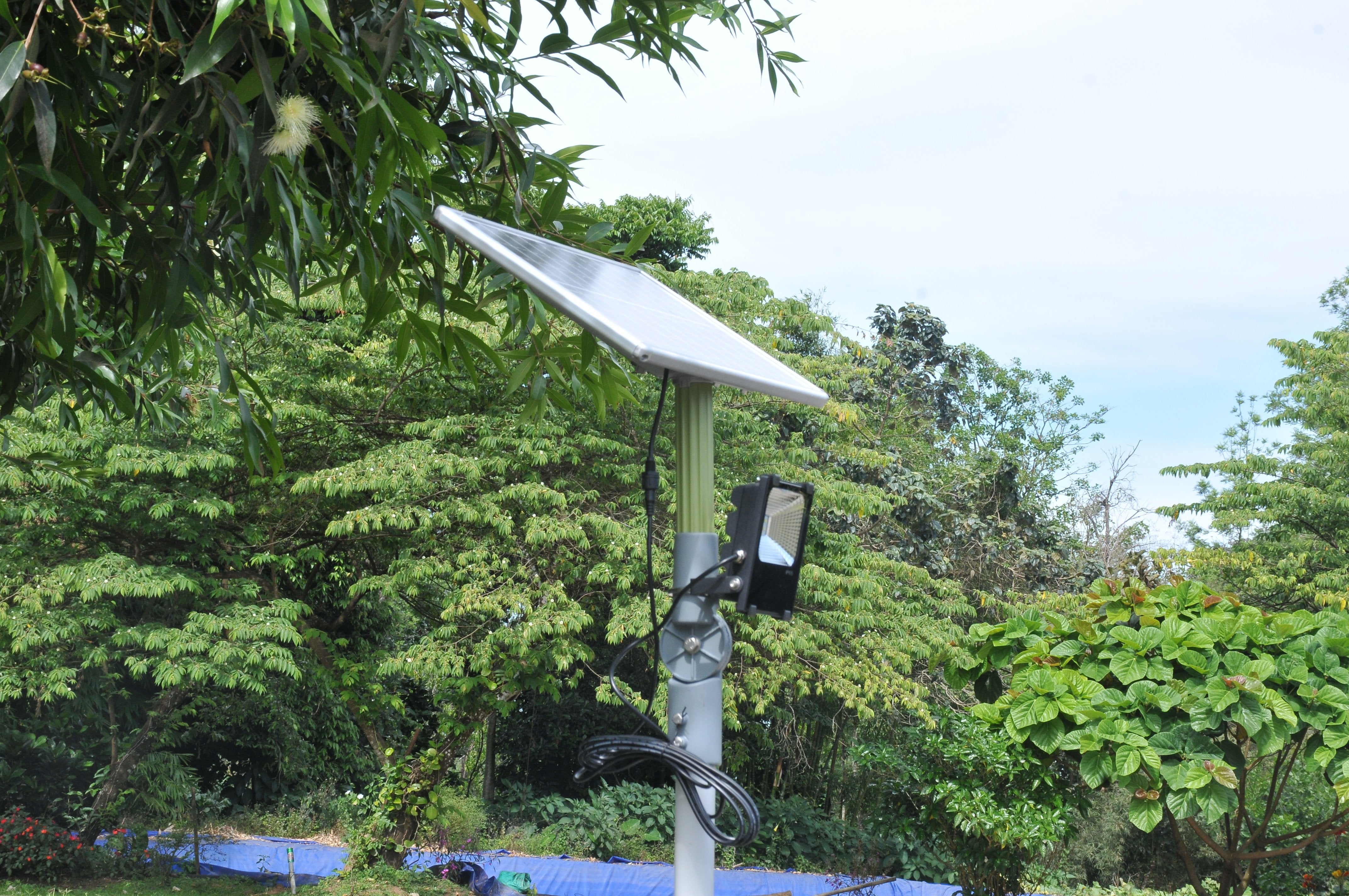 Solar Flood Light 20 Watt - TTSFL20W - tapetum.in