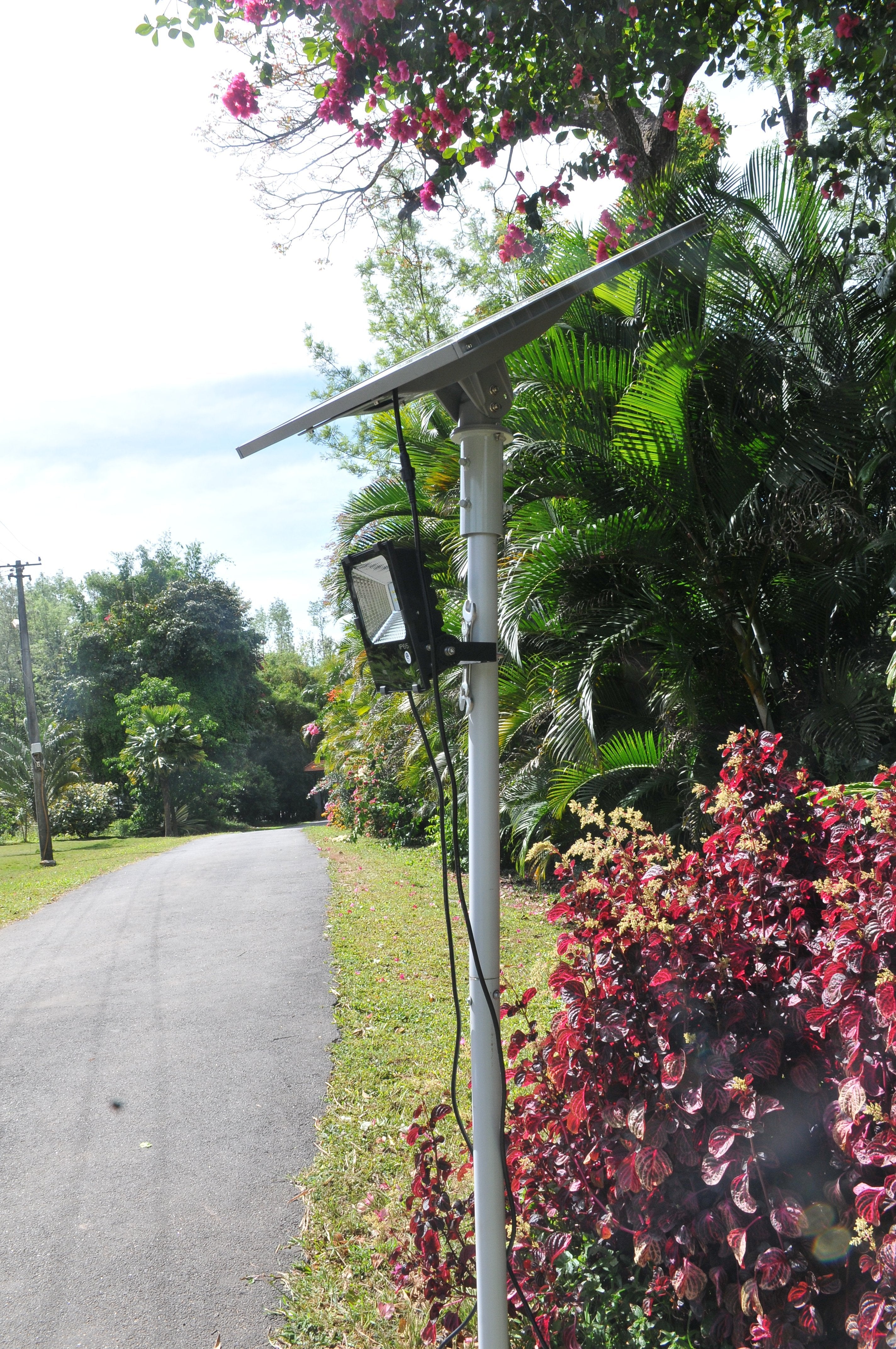Solar Flood Light 50 Watt - TTSFL50W - tapetum.in