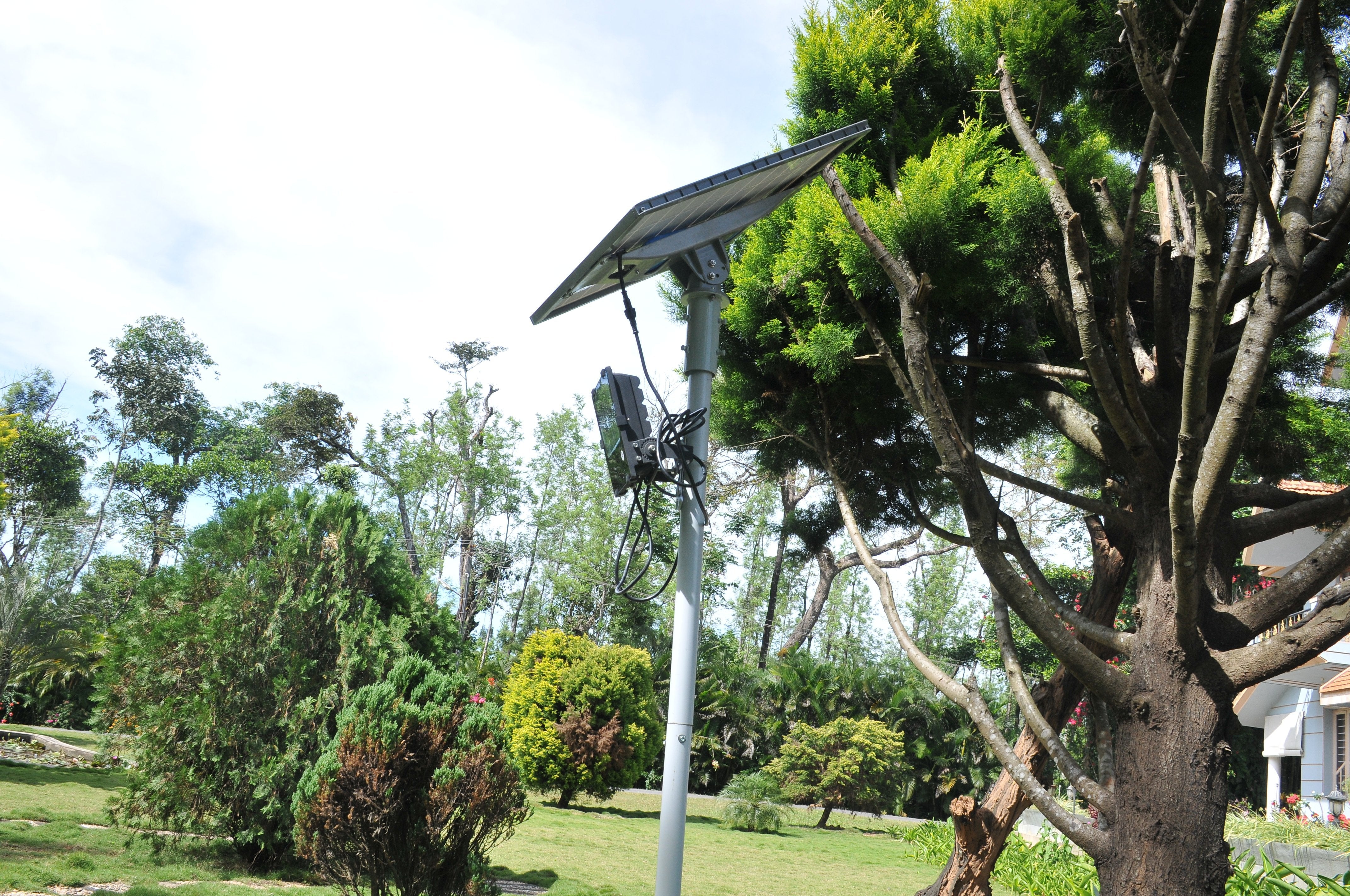 Solar Flood Light 50 Watt - TTSFL50W - tapetum.in