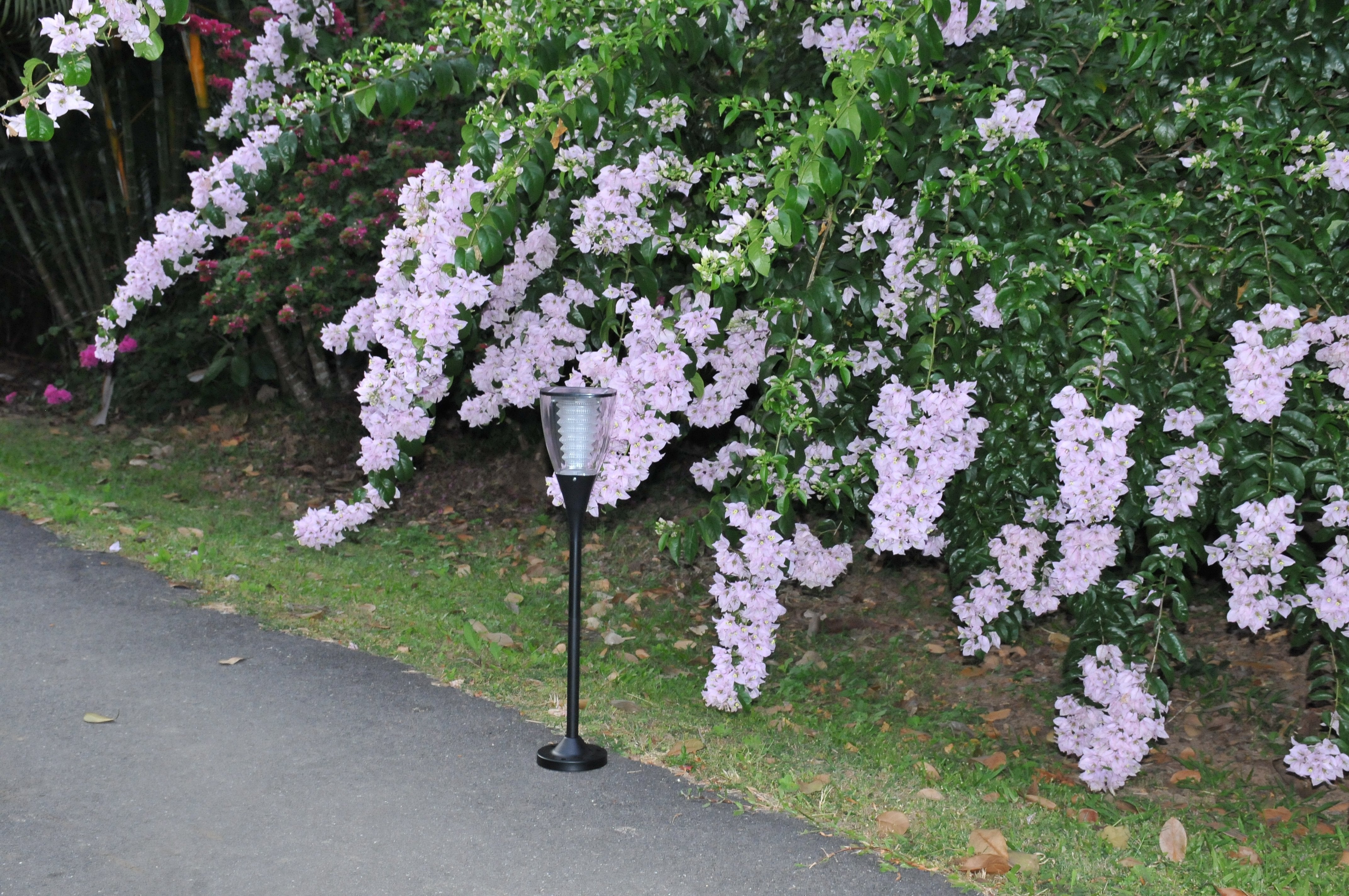 Solar Garden Light Warm White - TTSGLWW1W - tapetum.in