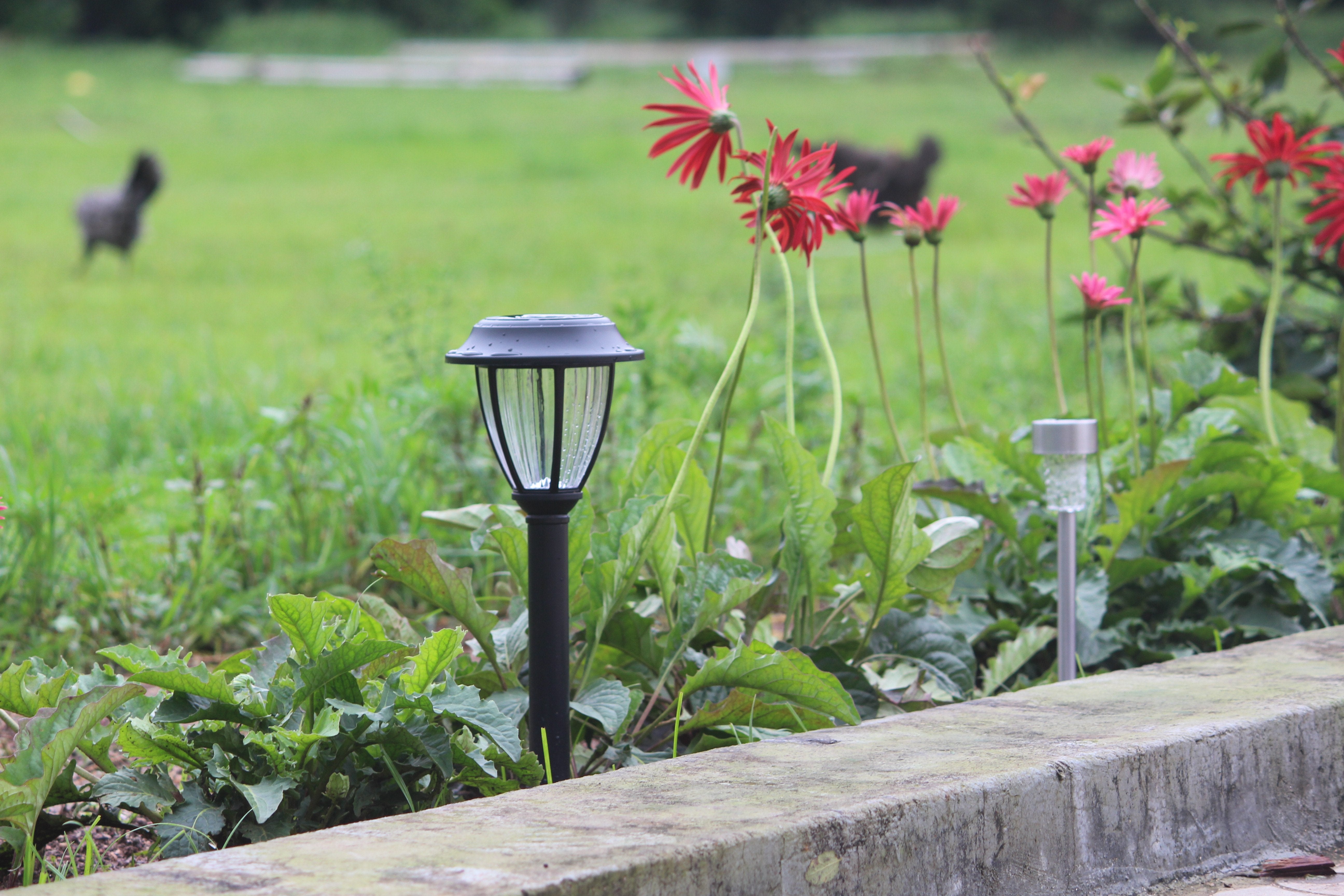 Solar Vintage Garden Light - TTSVMGL2W (Pack of 10) - tapetum.in