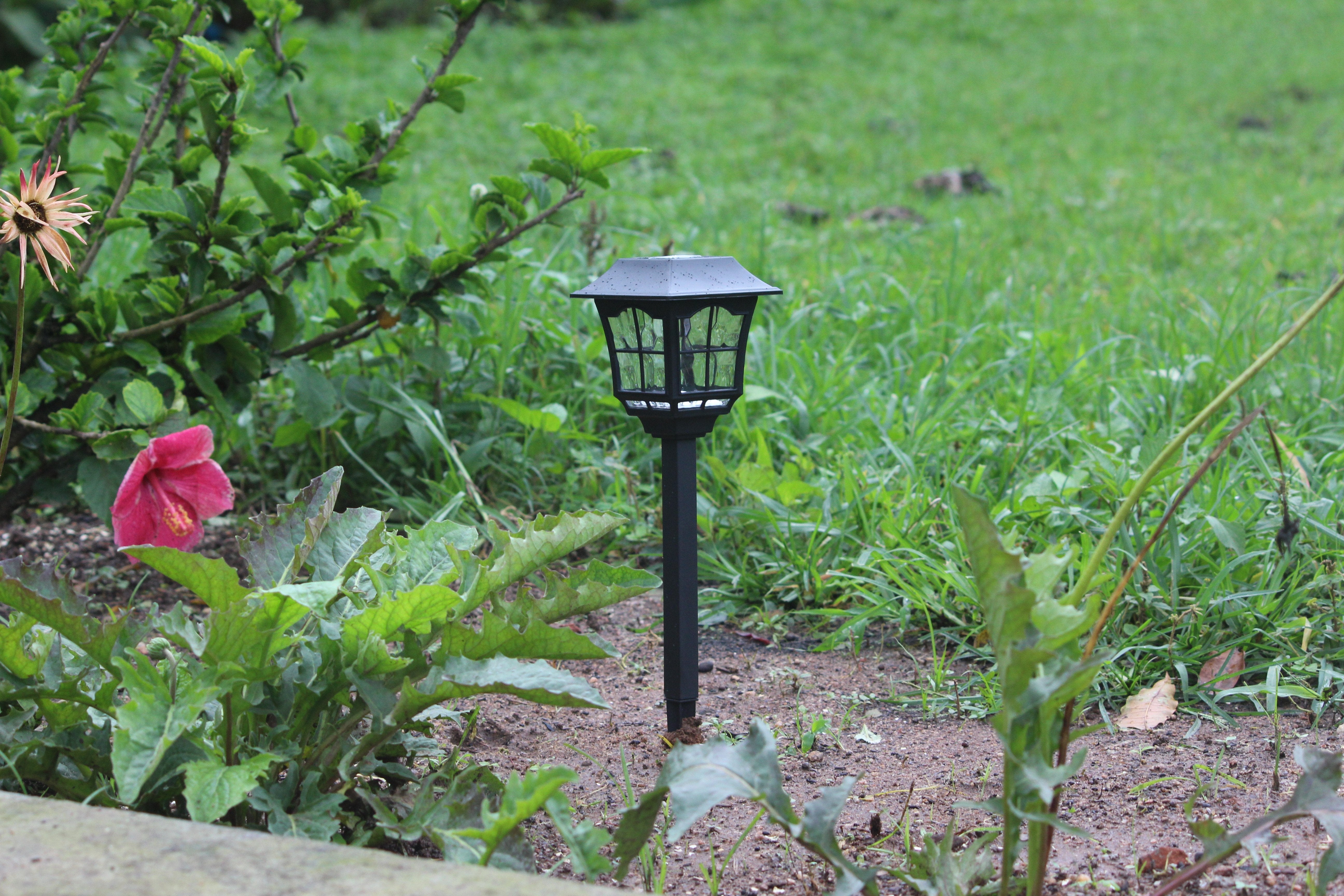 Solar European Pathway Light- TTSEMPL2W (Pack of 10) - tapetum.in