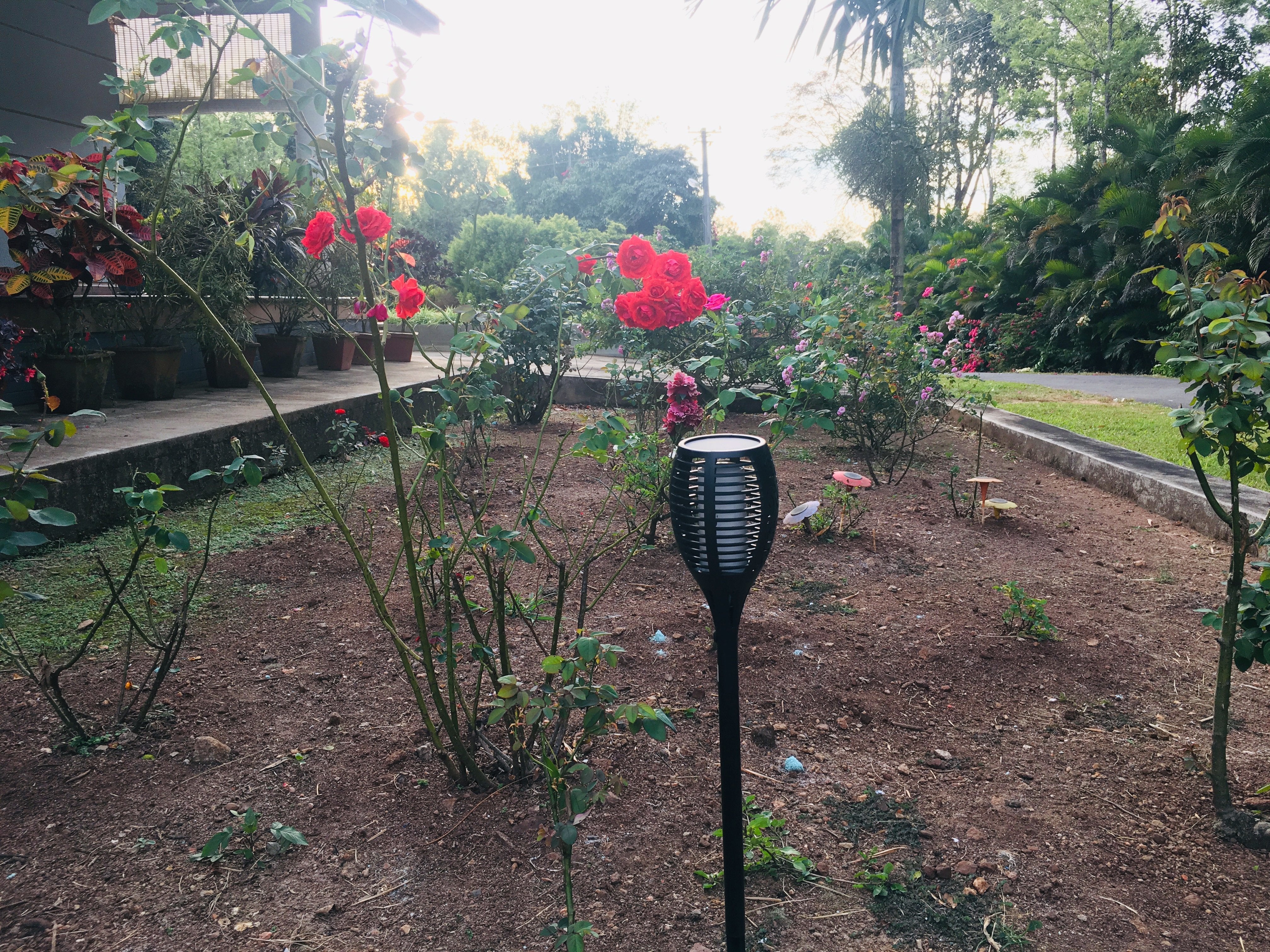 Solar Garden Fire Burn LED Light - TTSGFBL05W - tapetum.in