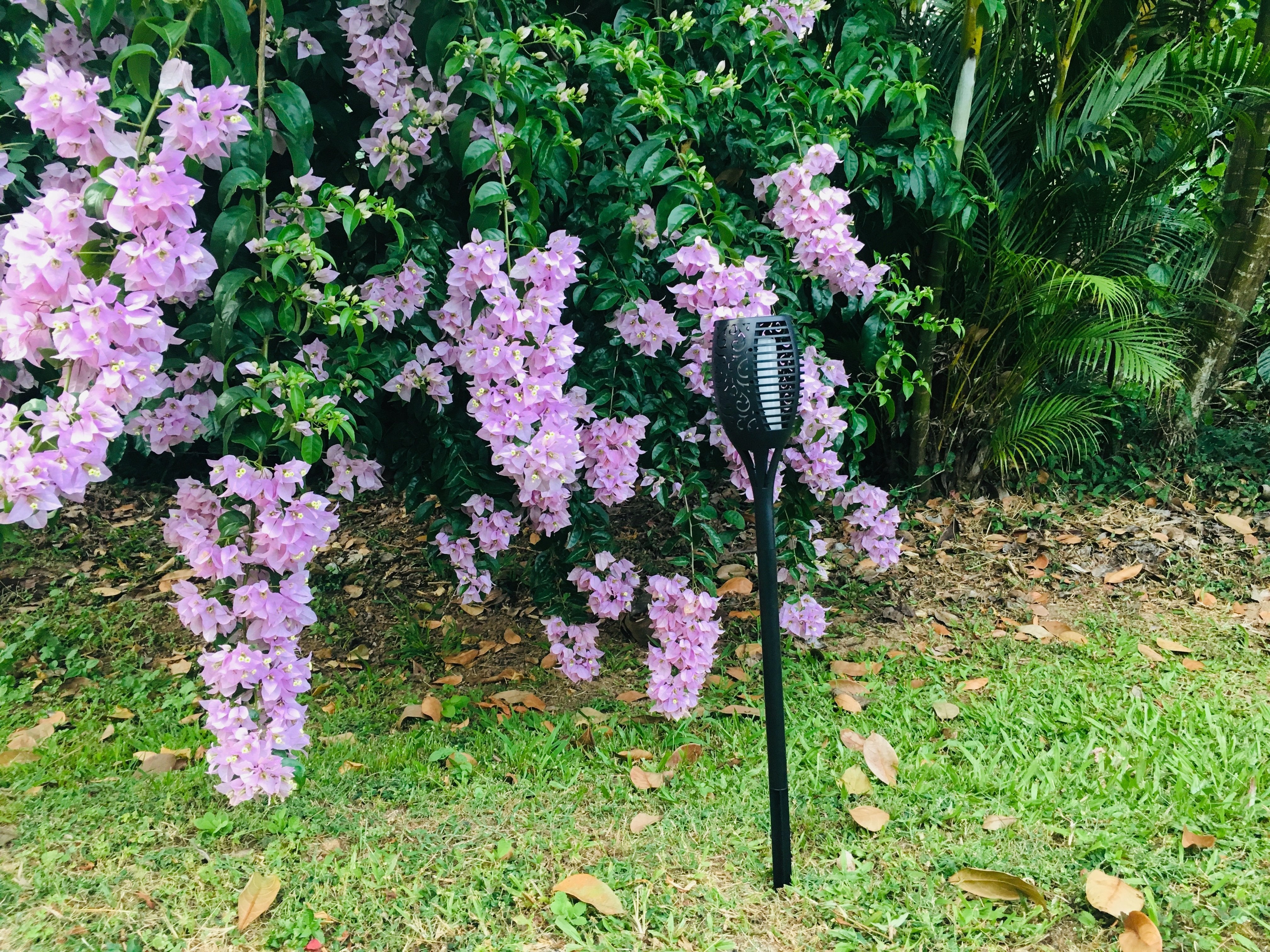 Solar Garden Fire Burn LED Light - TTSGFBL05W - tapetum.in