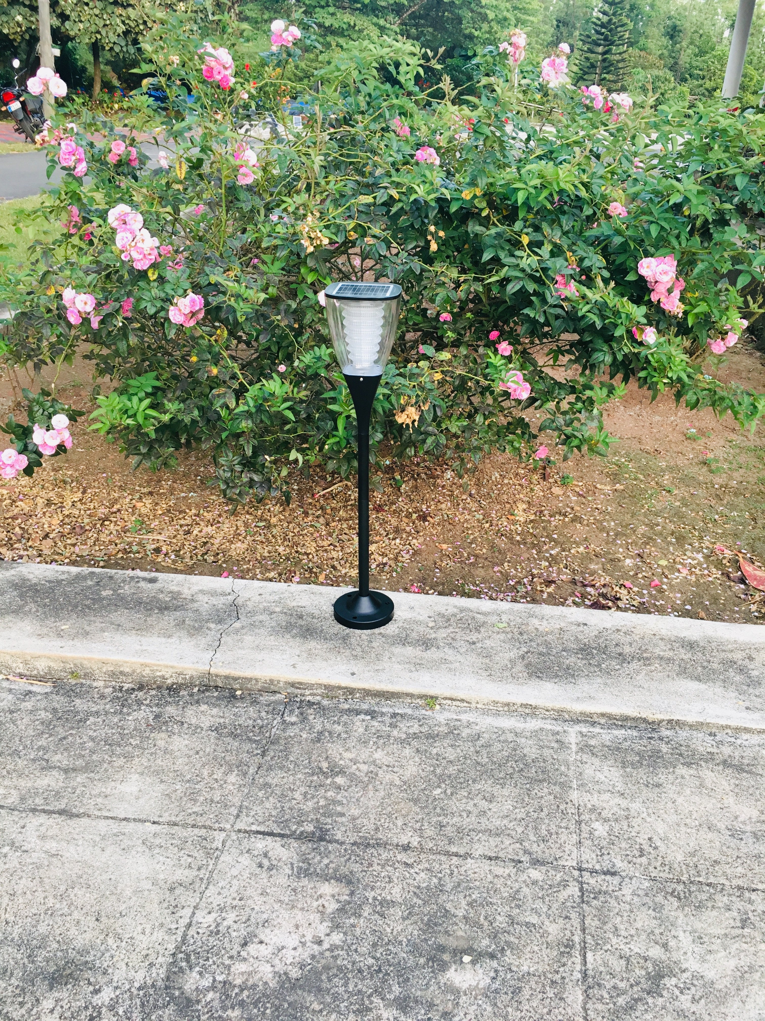 Solar Garden Light Warm White - TTSGLWW1W - tapetum.in