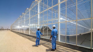 GlassPoint develops solar steam generators