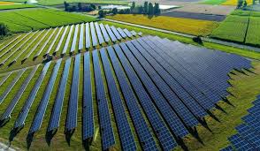 Coffee compound peps up solar cells performance