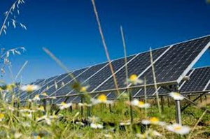 illinois solar farm