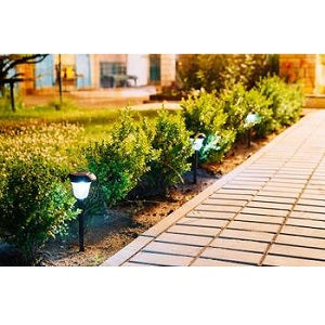 Why to Choose Solar Lights for Path Way